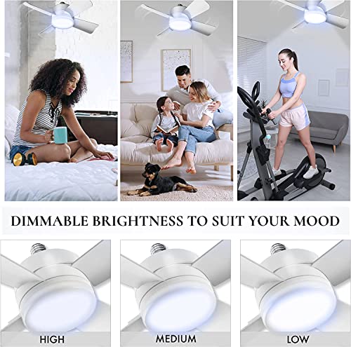 BELL + HOWELL Socket Fan 15.7-in Flush Mount White with White Blades With Light and Remote ( 4 -Blade )